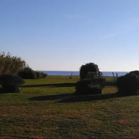 Petite Vue