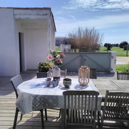 Petite Vue *